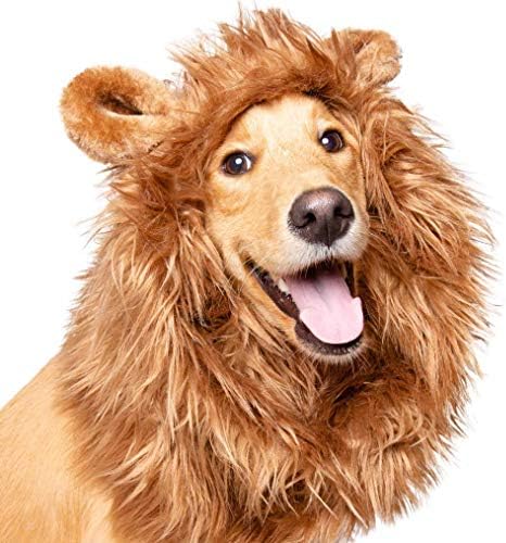 Lion Mane Costume and Big Dog Lion Mane Wig - Large Dog Costumes by Pet Krewe by PetKreweUnleashtheParade
