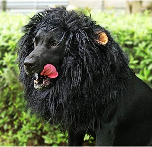 Onmygogo Lion Mane Wig for Dogs with Ears, Funny Pet Costumes for Halloween Christmas - Image 2