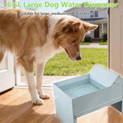 Automatic Dog Water Bowl Dispenser 6.5 Liter Self Refilling Water Bowl for Cat Dog Poultry Auto Fill Waterer with Float Valve Outdoor Indoor Pet Drinking Trough Fit GHT 3/4" Faucet