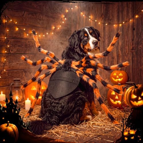 Huhumy Halloween Spider Costume with Safety Harness for Pets, Orange, L - Image 3