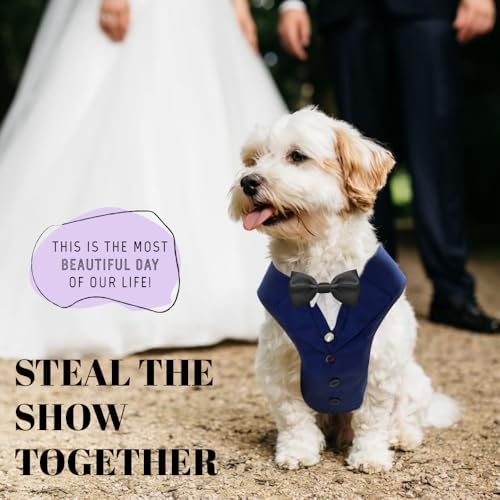 AVERYDAY Dog Tuxedo for Wedding Outfit, Dog Suit and Tie Costumes for Birthday, Halloween, Cosplay, Christmas Party, Pet Formal Wear with Bowtie, Tux for Small Dogs, Chihuahua, Bichon, Maltese, Cats - Image 2