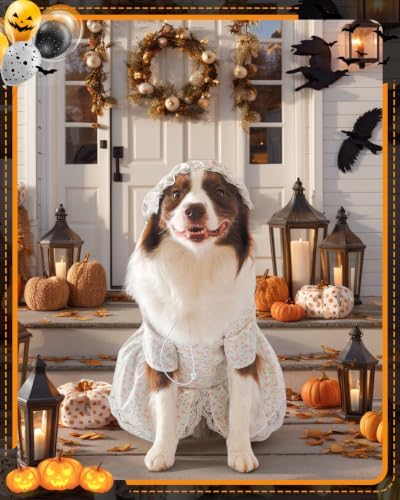 4P Funny Granny Wolf Dog Costume – Halloween Old Lady Costume for Dog for Medium and Large Dogs – Includes Floral Dress, Cap, Glasses & Eye – Classic Story-Themed Cosplay - Image 5