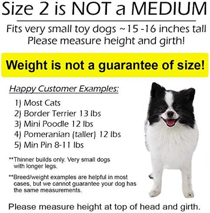Pandaloon Dog Halloween Costume - As Seen on Shark Tank - Patented - Funny Costume with Arms for Small and Medium Dogs and Cats (Lion, Size 2(15-16 in Height at TOP of Head,Girth<16 in)) - Image 3