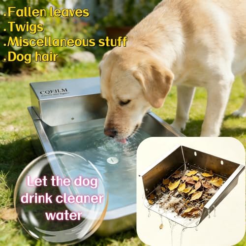 Stainless Steel Automatic Pet Water Bowl with Removable Filter