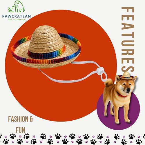 Pet Custom Dog Custom Cat Custom Hoodie, Sporty Look, Funny Gift, Halloween Holiday (Sombrero Hat, One Size) - Image 4