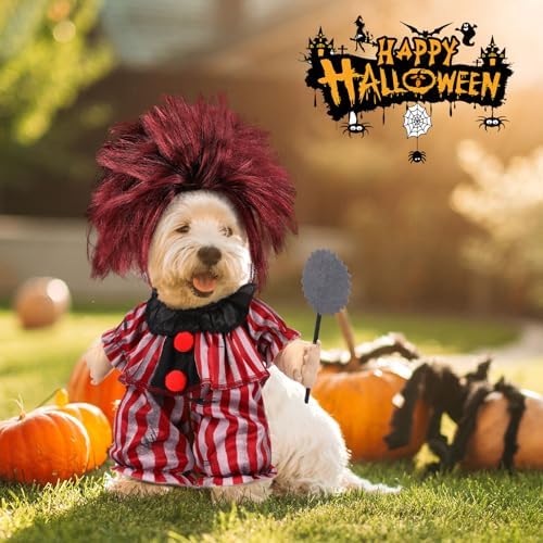 Huhumy Halloween Funny Dog Clown Costume with Wig - Image 4
