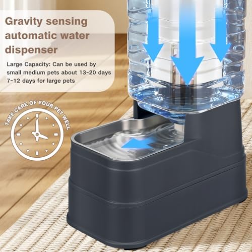 1.6 Gallon Pet Automatic Dog Water Dispenser Cat Gravity Waterer Feeder with Stainless Steel Bowl 8L Large Capacity Puppy Feeding Raised Bowls with Filter,Ice Pack (Charcoal Gray, 6L(1.6 Gallon))