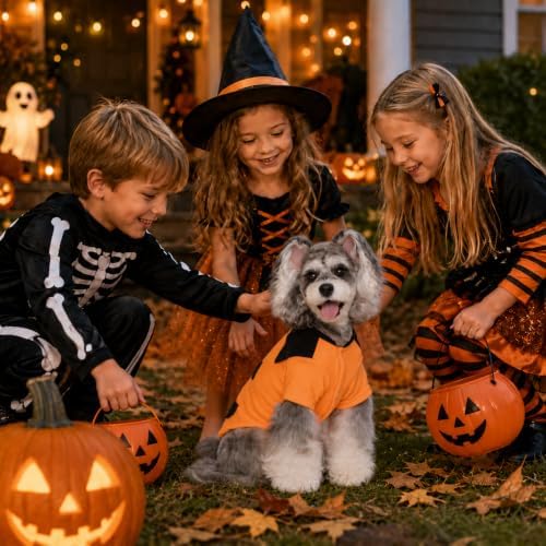 Dog Halloween Costume Pumpkin Pet Outfit Cat Clothes - Image 4