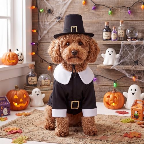 Hillban Dog Thanksgiving Pilgrim Costume, Dog Pilgrim Hat Collar Costume - Image 7