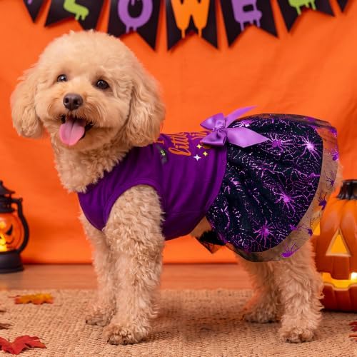 XPUDAC Halloween Dog Dress Witch Tulle Dress Holiday Dog Clothes for Small Dogs Girl, Spider Pet Costume Cat Apparel, Purple-XXS - Image 4