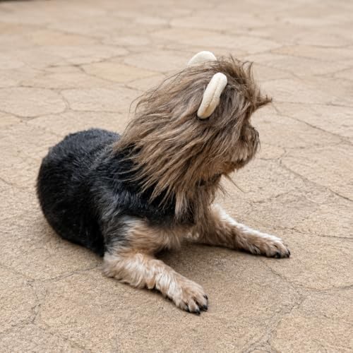 Lion Mane Pet Halloween Hood - Small to Medium-Large Breed Funny Clothes Outfit Apparel (Large) - Image 6