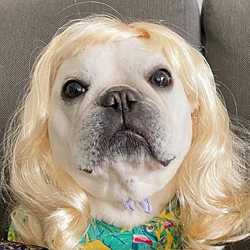 Funny Dog Cat Cosplay Wig for Halloween, Christmas, Parties, Festivals - Pet Wigs for Small, Medium and Large Dogs (Long Blonde Curly Hair) by Unknown
