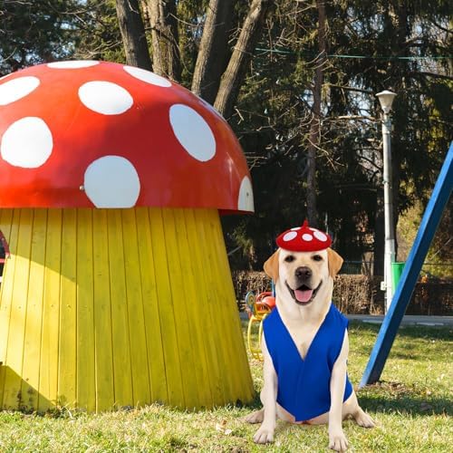 Halloween Mushroom Dog Costume Set, Mushroom Hat and Blue Vest - Image 4