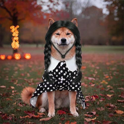 Hercicy 2 Pcs Dog Halloween Costumes Gothic Dress with Dog Wig, XL - Image 4
