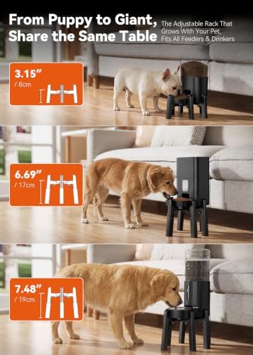 CZPET Dog Bowl Stand Extra Large Holder [Stand Only]