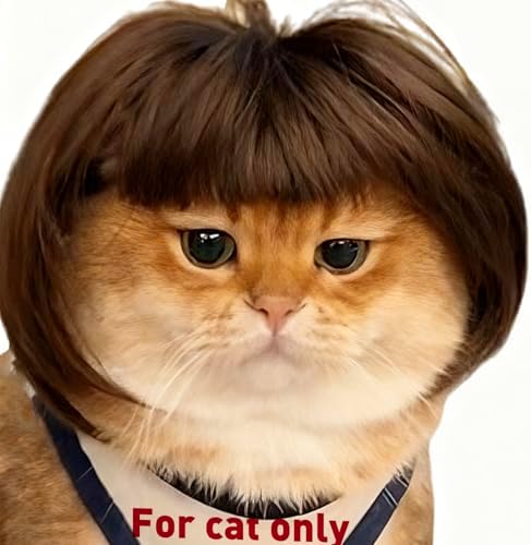 Cat Costume for cat only Mini cat bob Wig for Kitty or Porch Goose by Lamiaraga