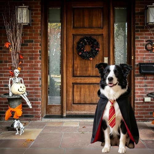 Dog Halloween Costumes, Dog Wizard Costume Wizard Witch Cape Necktie Costume for Small Medium Lage Dogs Pets (Medium) - Image 2