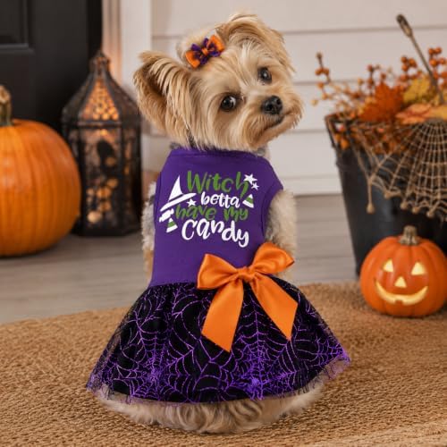 Halloween Dog Dress, Witch Candy Spider Web Tutu Skirt, Holiday Cat Costume for Small Dogs and Cats, Purple Pet Outfit for Puppies and Kittens - Image 6