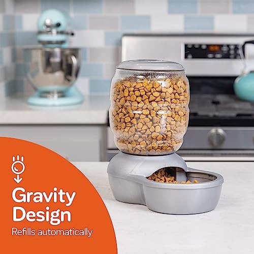 Petmate Replendish Automatic Cat and Dog Feeder, 2lbs, Grey