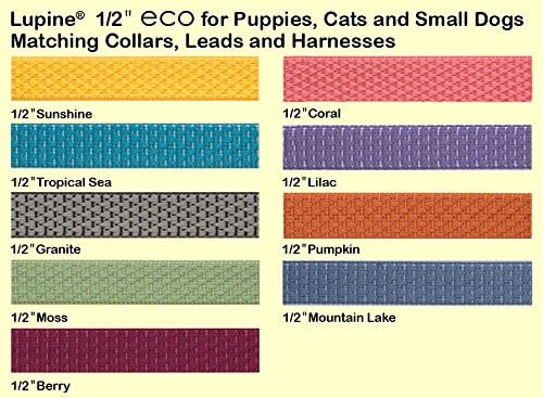 LupinePet Eco 1/2" Mountain Lake Cat Safety Collar with Bell , 8-12"