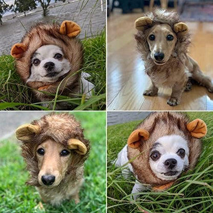 Pet Krewe Dog Lion Mane Halloween Costume – Fits Neck Size 8”- 14”- Lion Mane for Small Dogs – Ideal for Halloween, Birthday, Cosplay, Outfits, Pet Clothes - Image 3