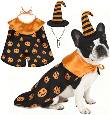 KOOLTAIL Dog Halloween Costume, Pumpkin Cape & Hat - 2 Piece Thanksgiving Set for Small Medium Large Dogs Cats Puppy, Funny Dog Witch Clothes Cosplay Dress Outfit Mantle Apparel for Holiday Party, L by KOOLTAIL