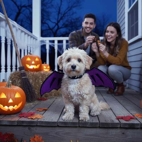 Dog Dragon Wings, Halloween Dragon Costume for Dog Cat, Purple, S - Image 5