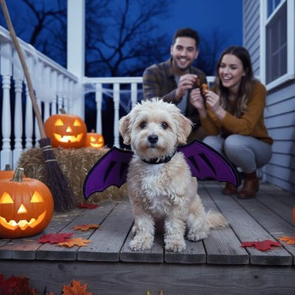 Dog Dragon Wings, Halloween Dragon Costume for Dog Cat, Purple, S - Image 5