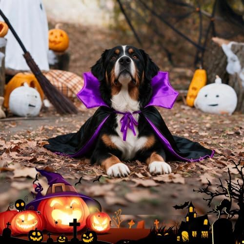 Vampire Cloak Dog Halloween Costumes for Large XL Dogs Dog Devil Cape - Image 5