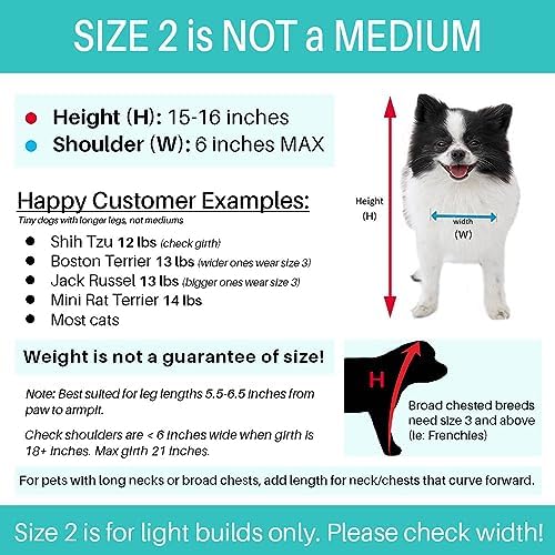 Pandaloon Dog Halloween Costume - As Seen on Shark Tank - Patented - Funny Costume with Arms for Small and Medium Dogs and Cats (Bunny, Size 2(15-16 in Height at TOP of Head,Girth<16 in)) - Image 3