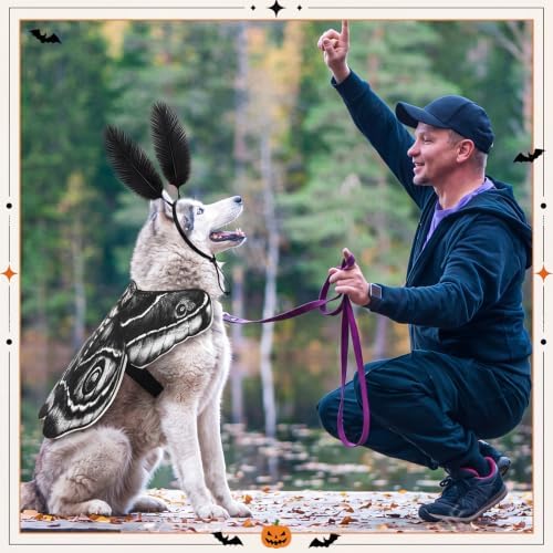 Tallew 2 Pcs Dog Halloween Costumes Moth Butterfly Wings,L,Black,White - Image 5