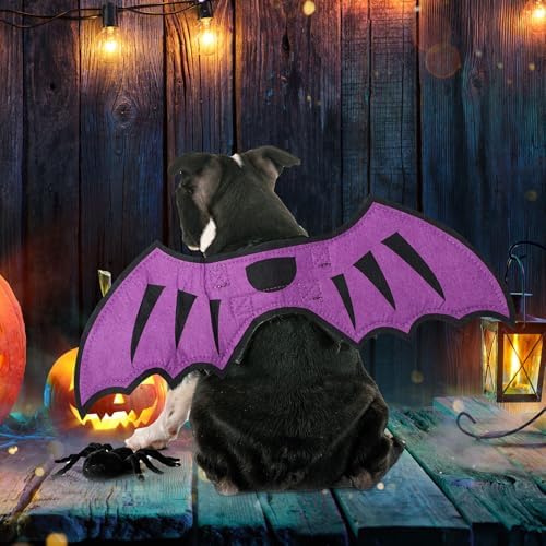 3 Pcs Halloween Costume for Dog Cat, Spider Bat Wings Cape, Purple, S - Image 4
