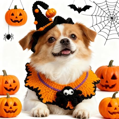 Halloween Pet Costume, Spider & Black Witch Hat for Cats and Small Sized Dogs, Hand-Knit Festive Halloween-Themed Cat Apparel, Dog Halloween Costumes, Cat Witch Costume - Image 5