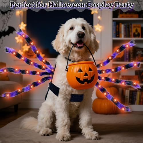 Halloween Light up Spider Dog Costumes for Small Medium Large Dogs - Image 5
