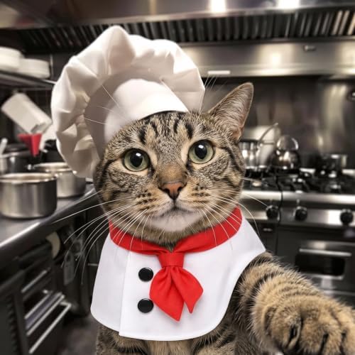 2 Piece Chef Dog Halloween Costume for Small Medium Dogs Cats(Small) - Image 4