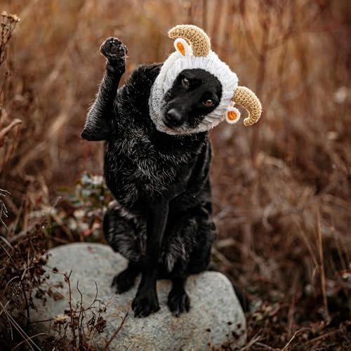 Zoo Snoods Ram Goat Costume - Warm Knit Dog Snood Wrap for Pets, Neck Ear Cover Protection, Halloween Winter (Small) - Image 7