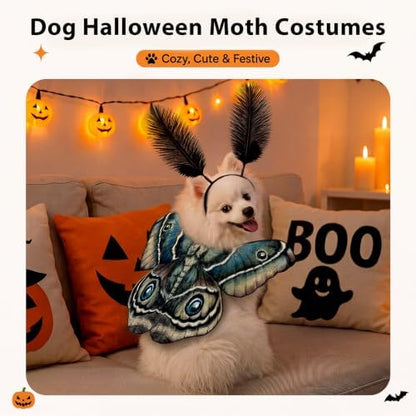 Tallew 2 Pcs Dog Costumes Moth Wings and Feather Headband,S,Tan - Image 4