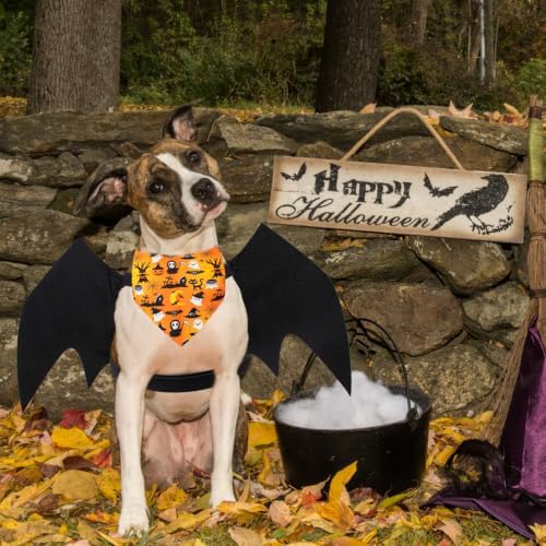 Dog Bat Costume Halloween Costume Dog Bat Wings with Pumpkin Dog Bandanas - Image 6