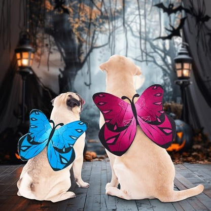 Butterfly Wings for Dogs Cats Dog Halloween Costume for Small Medium Large Dogs, Dog Cat Wing with 3PCS Flowers Pet Cosplay Costumes for Christmas Birthday Parties Puppy Clothes Outfit - Image 2
