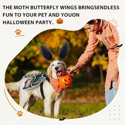 Tallew 2 Pcs Dog Halloween Costumes Moth Butterfly,L,Tan - Image 4