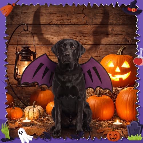 Dog Dragon Wings, Halloween Dragon Costume for Dog Cat, Purple, XL - Image 4