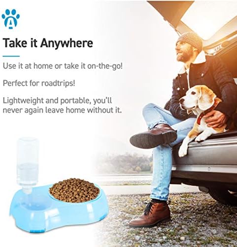 Slow Feeder Bowl, Elevated, Double Transparent for Cats, Small Dogs, Pet Automatic Water Feeder with Water Bottle