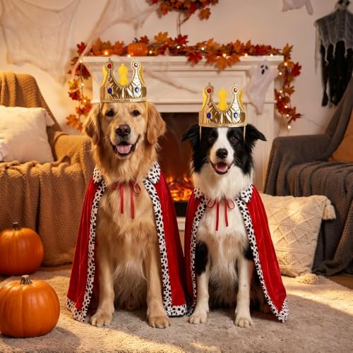 Dog Costume Dog Halloween Costumes Large Dog King Cloak Crown Set - Image 4