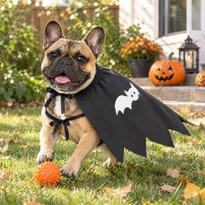 Halloween Dog Costume, Bat Halloween Dog Cape for Medium Large Pets(M) - Image 3