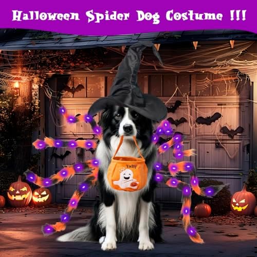 Halloween Spider Costume for Small Dog - Glowing Funny Cats Pet Costumes - Image 6
