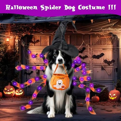 Halloween Spider Costume for Small Dog - Glowing Funny Cats Pet Costumes - Image 6