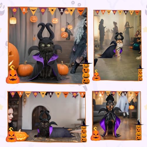 Witch Costume - Dog & Cat Halloween Cloak & Hat with Devil Horns & Vampire Teeth - Small & Medium Sizes - Image 7