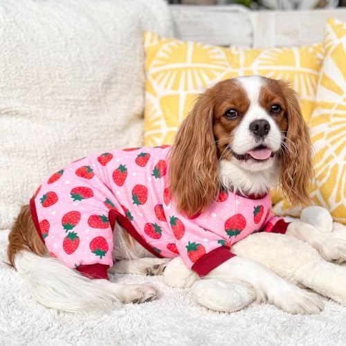XPUDAC Dog Pajamas for Small Medium Dogs, Strechy Soft Dog Clothes for Dogs Girl Boy Pet Jumpsuit, Cat Onesie-S - Image 4