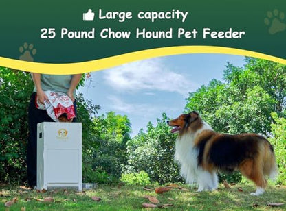 Dog Feeder - 25 lbs Heavy Duty Pet Feeder Automatic Dog Food Station Pet Lodge Galvanized Steel for Medium and Large Dog Outdoor Use (Assembly Required)