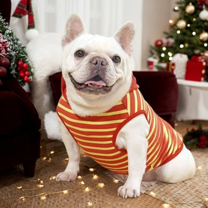 Dog Halloween Costumes Frenchie Clothes Funny Dog Costume - Image 3